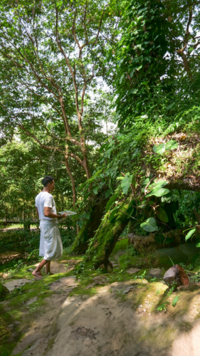 A person dressed in white stands on a moss-covered stone pathway in a lush forest. They are surrounded by tall trees and thick greenery, creating a serene and natural environment. The vivid foliage and intertwining vines add to the tranquility of this Thailand exclusive experience at Soneva.