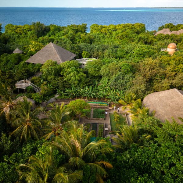 Aerial view of a Soneva tropical island resort surrounded by lush greenery and dense forest. Visible are thatched-roof buildings, winding paths, cultivated garden areas, and palm trees. Beyond the vegetation, the calm, expansive blue sea meets the horizon—a perfect Maldives paradise.