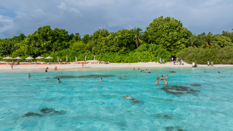 People swim and relax in clear turquoise water near a sandy beach lined with green trees and sun loungers with umbrellas at Soul at Soneva. The sky is overcast, hinting at possible rain.