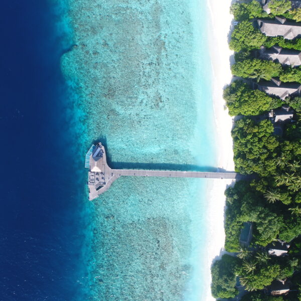 Aerial view of a long pier extending over turquoise water from a white sandy beach, surrounded by dense green trees and villas, adjacent to deep blue ocean.