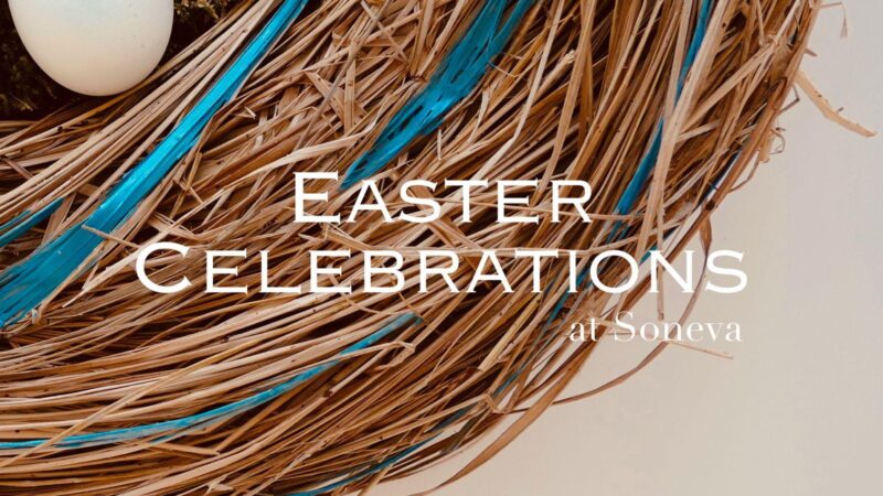 ソネバフシ｜モルディブ・バア環礁